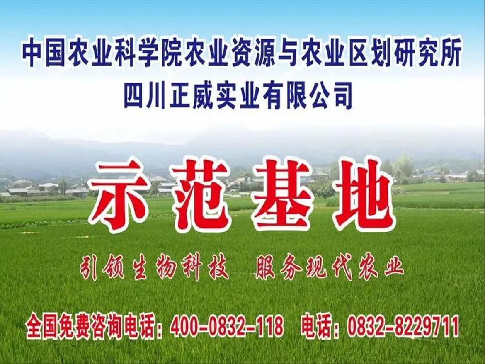 【正规买球软件推荐下
】四川正威实业有限公司